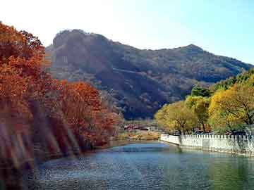 新澳天天开奖资料大全旅游团，完本都市小说排行榜